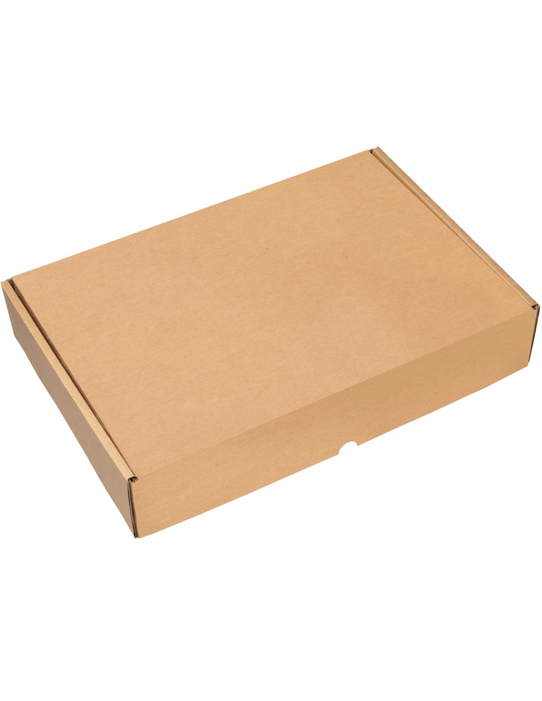 tarde Bloquear Ser Cajas de Cartón para Botellas Kraft | Packer PRO